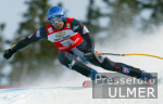 SKI   Weltcup  Abfahrt Herren ; Sieger Stephan Eberharter (AUT)