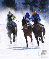 Pferdesport: White Turf  St. Moritz 2022