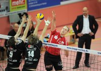 Volleyball 1.Bundesliga 2012/2013: TV Rottenburg  - Netzhoppers KW-Bestensee