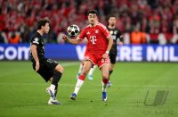 FUSSBALL CHAMPIONS LEAGUE  SAISON 25/26   Halbfinal Rueckspiel: FC Bayern Muenchen - Paris Saint-Germain