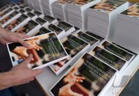 Abschluss Dialogprozess in der Dioezese Rottenburg-Stuttgart: Bischof Fuerst