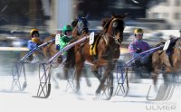 Pferdesport:  White Turf  St. Moritz 2011   Trabrennen