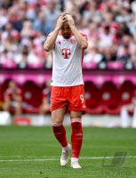 Fussball 1. Bundesliga 23/24: FC Bayern Muenchen - 1.FC Koeln