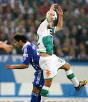 Fussball 1. Bundesliga: Schalke - Werder