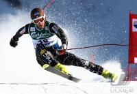 Ski Alpin  Herren Abfahrt Wengen