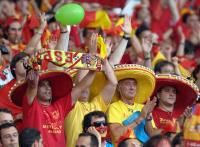 Fussball WM 2006: Spanien Tunesien