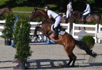 Reiten Tuebinger Landeschampionat 2016
