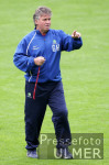 Fussball Australien, HIDDINK