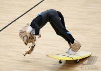 Basketball 1. Bundesliga  07/08  Walter Tigers Tuebingen  -  Science City Jena