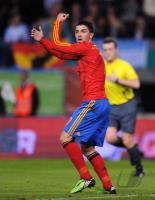 Fussball Nationalmannschaft : David Villa (ESP)