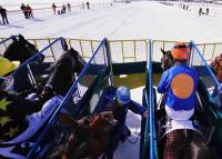 White Turf  St. Moritz 2010 FEATURE START