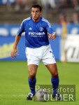 FUSSBALL BUNDESLIGA, Schalke 04