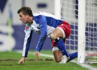 Fussball 1. Bundesliga: HSV, VAN DER VAART