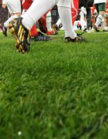 FUSSBALL, 1. BUNDESLIGA, 15. Spieltag: Symbolbild