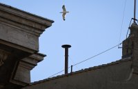 Papstwahl / Konklave: Kamin der Sixtinischen Kapelle