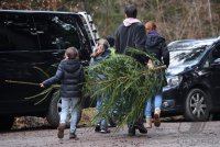 Weihnachtsbaeume selber schlagen im Ofterdinger Gemeindewald