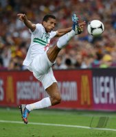 Fussball International Europameisterschaft 2012, Halbfinale: Portugal - Spanien