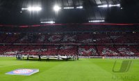 Fussball CHL 18/19 Achtelfinale: FC Bayern Muenchen - FC Liverpool