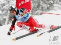 Ski Alpin; Abfahrt Training  Herren
