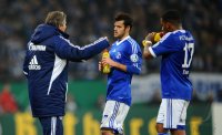 Fussball, DFB Pokal, Saison 12/13: FC Schalke 04 - FSV Mainz 05