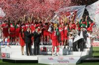 Fussball 1. Bundesliga  Meister VfB Stuttgart