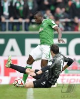 Fussball, 1. Bundesliga  Saison 2014/2015: Werder Bremen - FC Augsburg