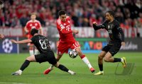 FUSSBALL CHAMPIONS LEAGUE  SAISON 25/26   Halbfinal Rueckspiel: FC Bayern Muenchen - Paris Saint-Germain