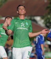 Fussball 1. Bundesliga 2011/2012:  Markus Rosenberg (SV Werder Bremen)