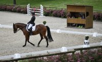 Reiten Turnier Tuebinger Reitgesellschaft