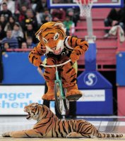 1. Basketball Bundesliga 2010/2011: Walter Tigers Tuebingen  - Giants Duesseldorf