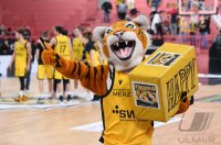 Basketball 2. Bundesliga 2021/2022: Tigers Tuebingen - ROEMERSTROM Gladiators Trier