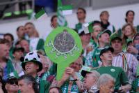 Fussball 1. Bundesliga 08/09   VfL Wolfsburg  Fan mit Schale