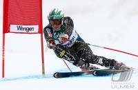 Ski Alpin  Herren Abfahrt Wengen