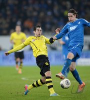 Fussball  1. Bundesliga  13/14: TSG 1899 Hoffenheim - Borussia Dortmund