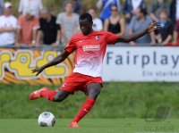 FUSSBALL 1. Bundesliga 2013/2014: Fallou Diagne  (SC Freiburg)