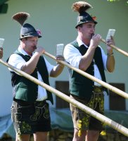 Almabtrieb - Viehscheid in Maierhoefen (Kreis Lindau) im Allgaeu