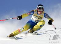 Ski Alpin;  Suger G  Damen  St. Moritz