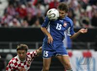 Fussball  WM 2006: Testspiel Kroatien gegen Polen