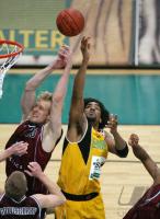 Basketball 1. Bundesliga  07/08  Walter Tigers Tuebingen  - Artland Dragons