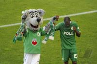 Fussball 1. Bundesliga 08/09  VfL Wolfsburg - SV Weder Bremen