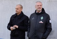 Fussball  1. Bundesliga  13/14: TSG 1899 Hoffenheim - SV Werder Bremen