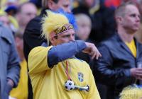 Fussball WM-Qualifikation: Schweden - Daenemark