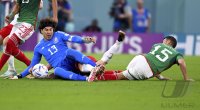 FUSSBALL WM 2022 Vorrunde: Mexiko - Polen