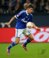 Fussball 1. Bundesliga Saison 2012/2013: FC Schalke 04 - VfL Wolfsburg