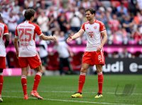 Fussball 1. Bundesliga 23/24: FC Bayern Muenchen - 1.FC Koeln