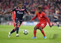 Fussball International CHL 18/19: FC Bayern Muenchen - Roter Stern Belgrad