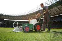 Fussball WM 2006: Finale, 24 Std. Reportage