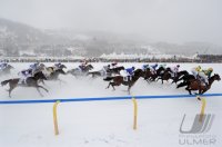 Pferdesport:  White Turf  St. Moritz 2011   Flachrennen