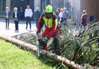 Hochschule Forstwirtschaft Rottenburg Waldwirtschaft 4.0: Digitalisierung im Prozesse der Holzernte