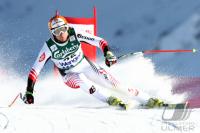 Ski Alpin  Herren Abfahrt Wengen